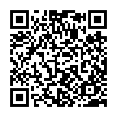 QR code for plate 810-FZT