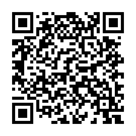 QR code for plate 825-DYZ