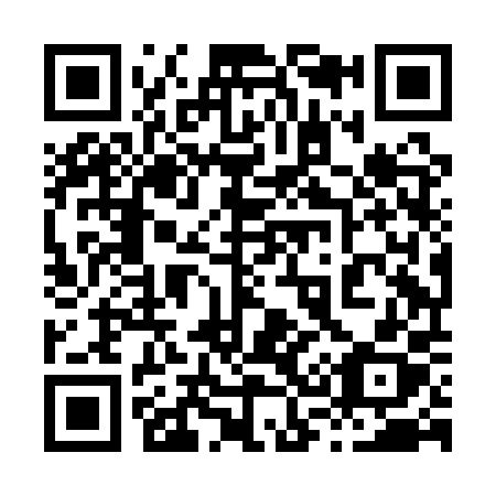 QR code for 838-APX