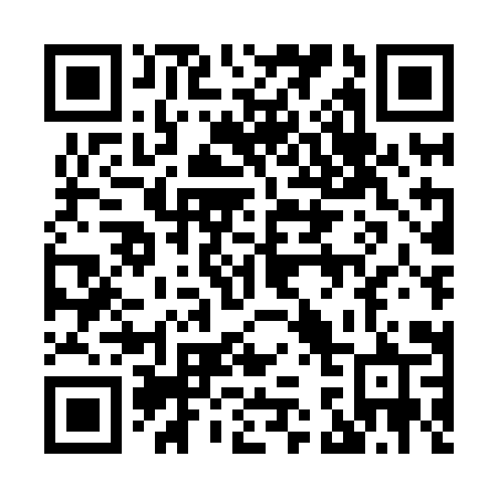 QR code for plate 838-HIR