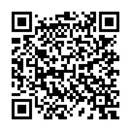 QR code for plate 838-NNY