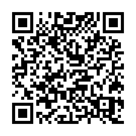 QR code for plate 855-INS