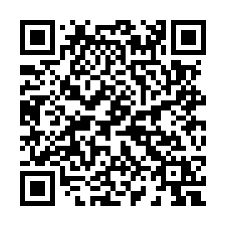 QR code for 863-MSX