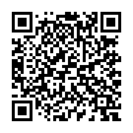 QR code for 866-LDQ