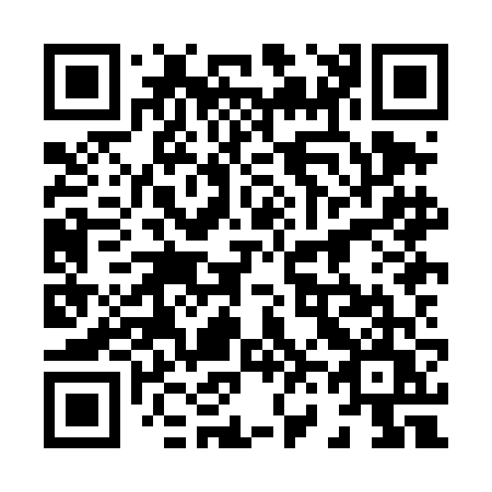 QR code for 868-DFU