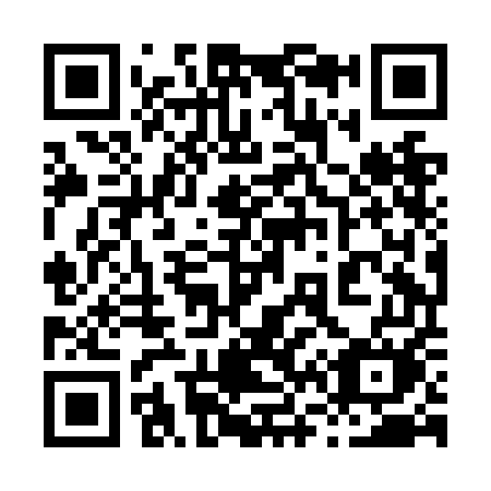 QR code for 868-NEM