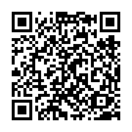 QR code for 868-VFX