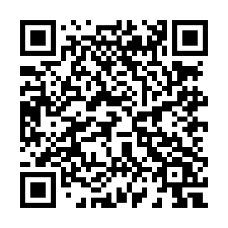 QR code for plate 868-LDV