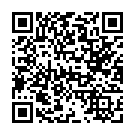 QR code for plate 868-LRS
