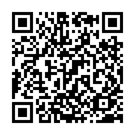 QR code for 869-CHP