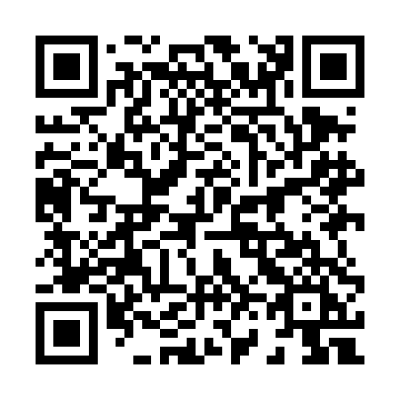 QR code for plate 869-DDI
