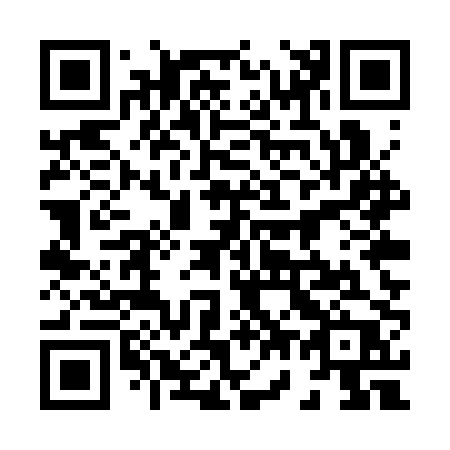 QR code for plate 875-SPP
