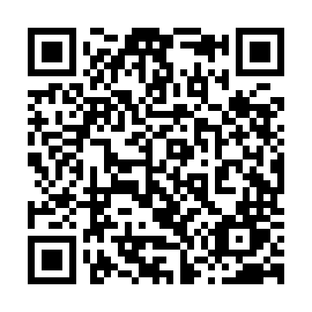 QR code for plate 878-INT