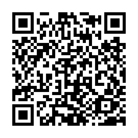 QR code for 893-GIZ