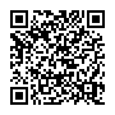 QR code for plate 900-LFV