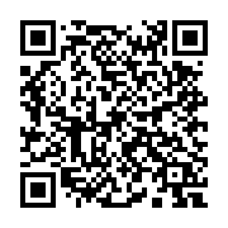 QR code for 905-DPP