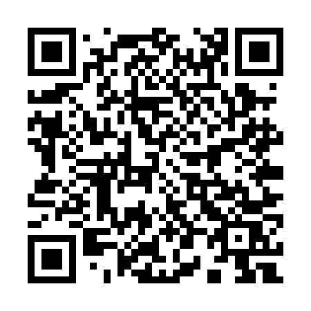 QR code for 905-PNS