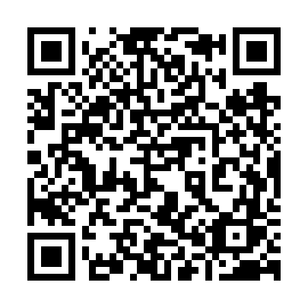 QR code for plate 905-VVS