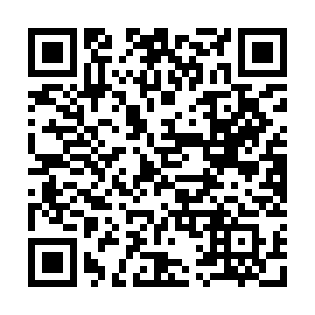 QR code for 911-ICS