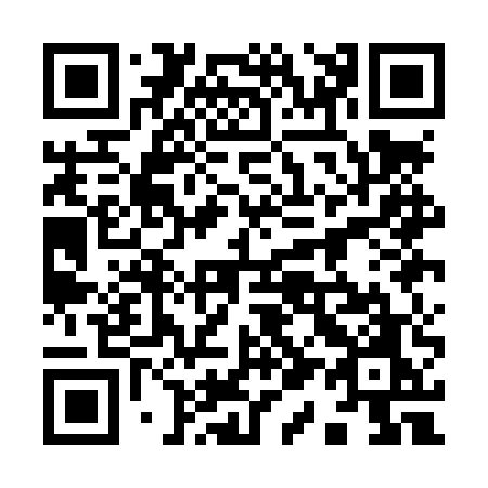 QR code for 911-LUO