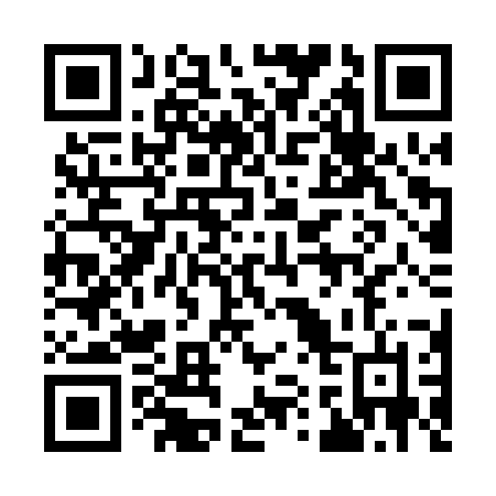 QR code for 911-PZN
