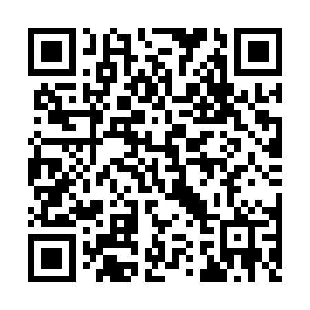 QR code for 911-QPP