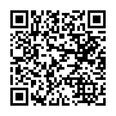 QR code for plate 913-FFD
