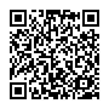 QR code for plate 913-SSM