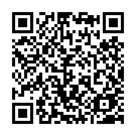 QR code for plate 916-TYE