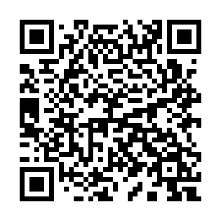 QR code for 919-APN