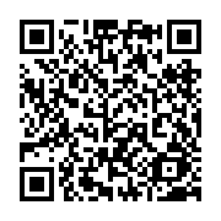 QR code for 919-BJJ