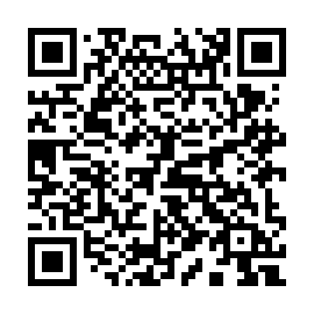 QR code for 919-FIB