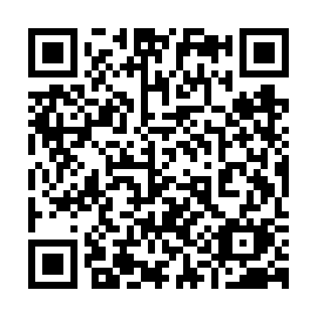 QR code for 919-FSM