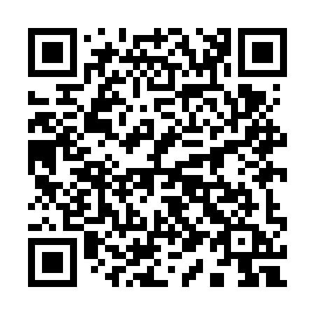 QR code for 919-FYA