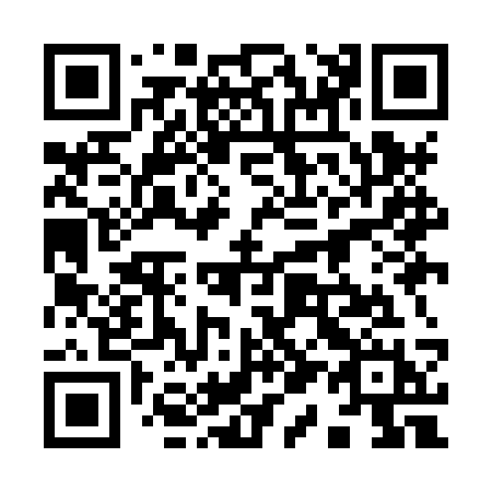 QR code for 919-HSH