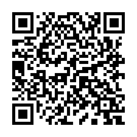 QR code for 919-IZS
