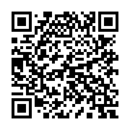 QR code for 919-NFJ