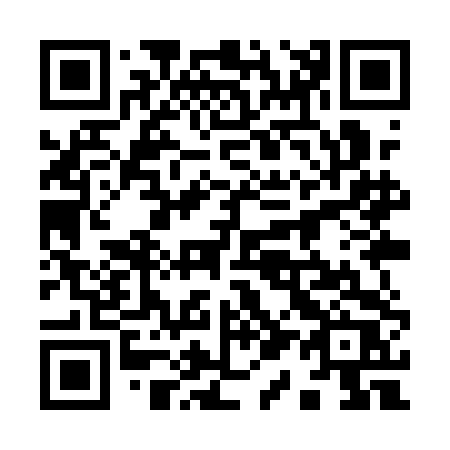 QR code for 919-QDR