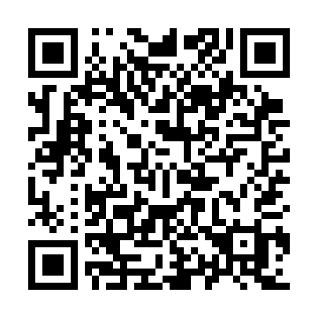 QR code for 919-SAI