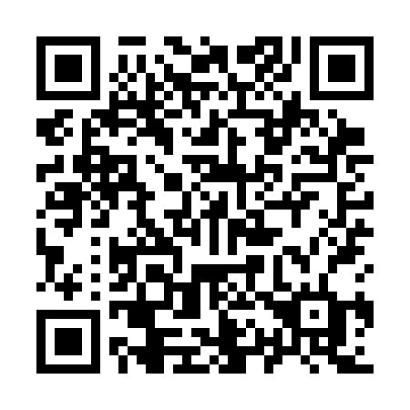 QR code for 919-SBD