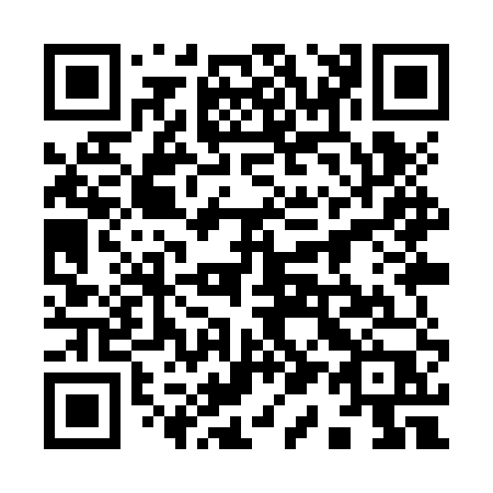 QR code for 919-ZUP