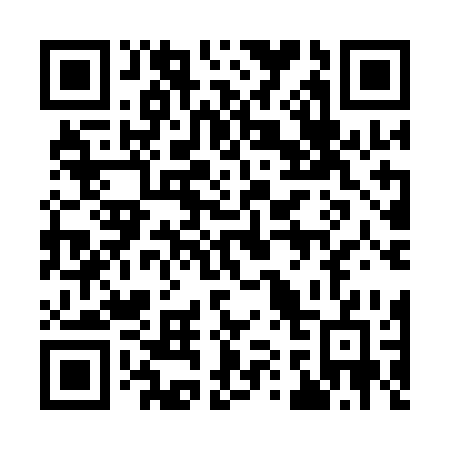 QR code for plate 919-ACG
