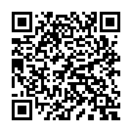 QR code for plate 919-AQA