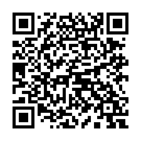 QR code for plate 919-DBW
