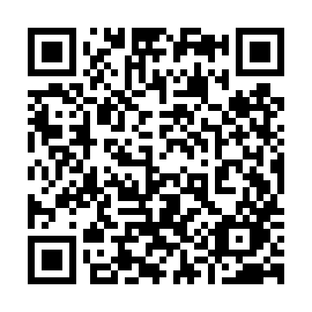 QR code for 919DXO