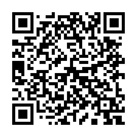 QR code for plate 919-DYP