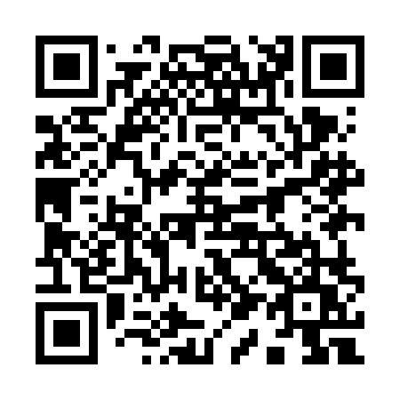 QR code for plate 919-FLU