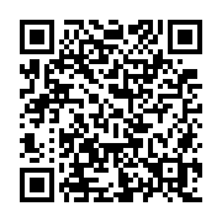 QR code for plate 919-GOH