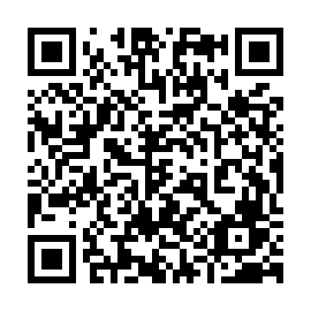 QR code for 919MVV