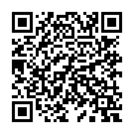 QR code for plate 919-NMQ